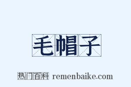 毛帽子是什么意思的图片